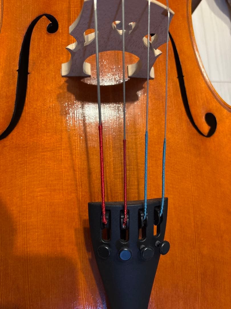 チェロ　Carlo Giordano SC-300