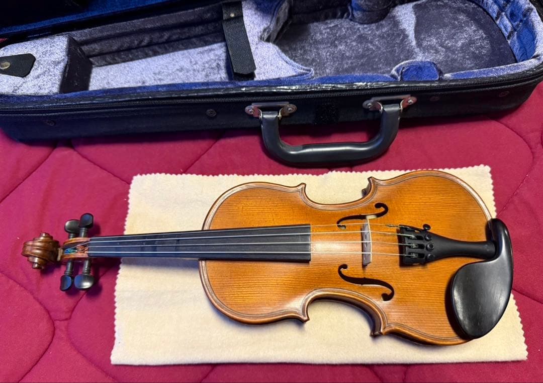 グリガ　GLIGA Fecit Anna 2009 1/10 バイオリン