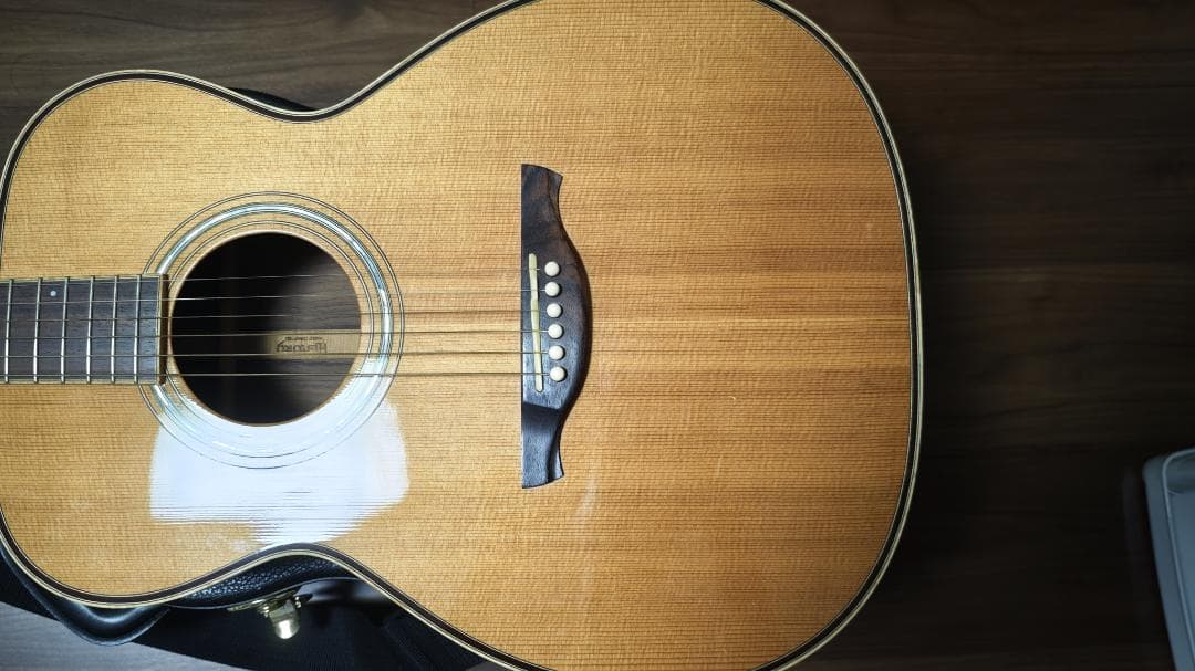 History NT-S3 オール単板 定価19.9万円 島村楽器 フジゲン製