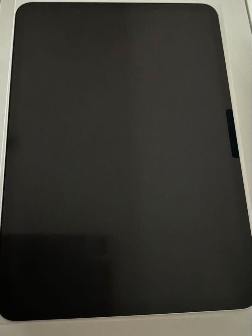 iPad Pro 11 1TB M4 Wi-Fi シルバー