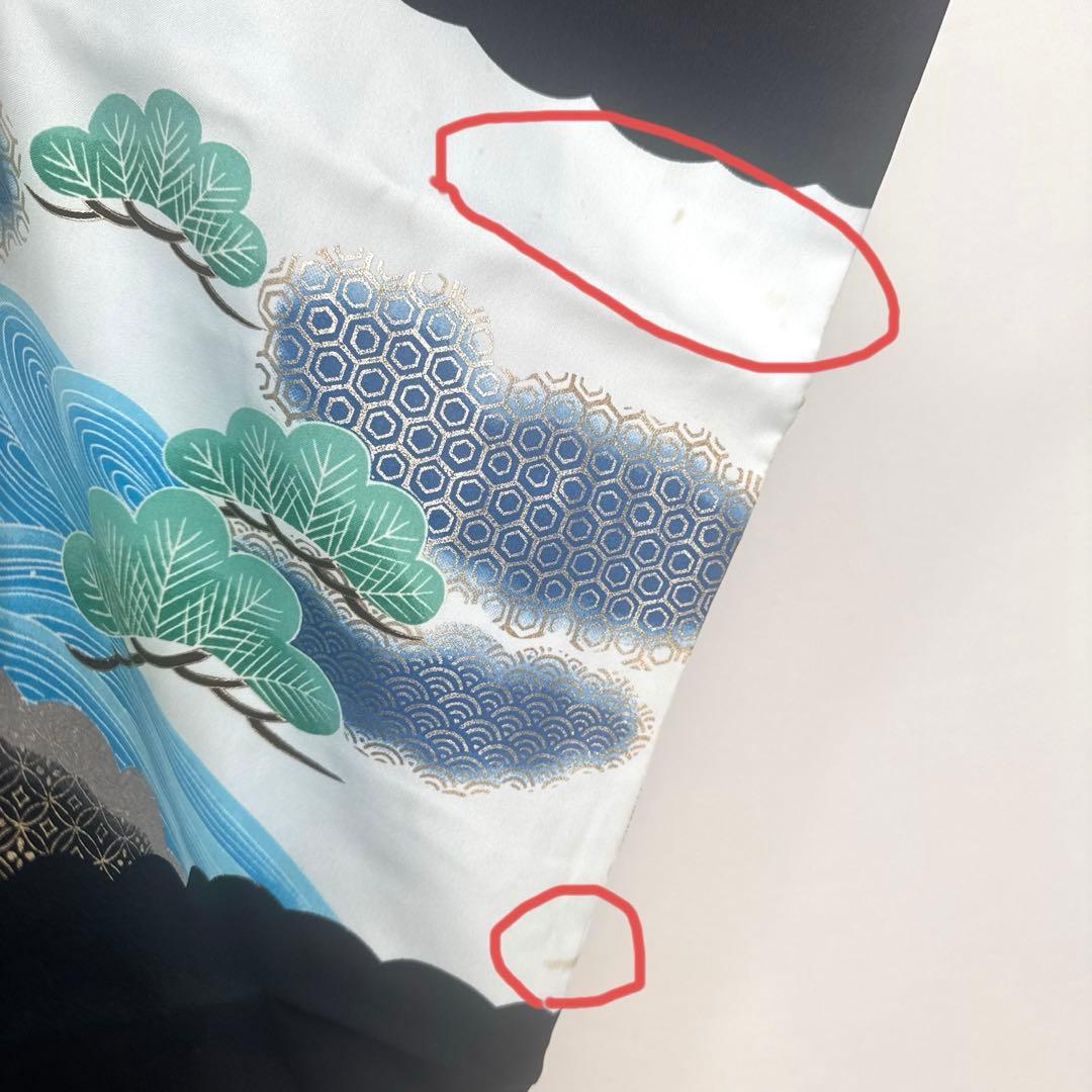 2905★少々シミに付き特価★五歳セット