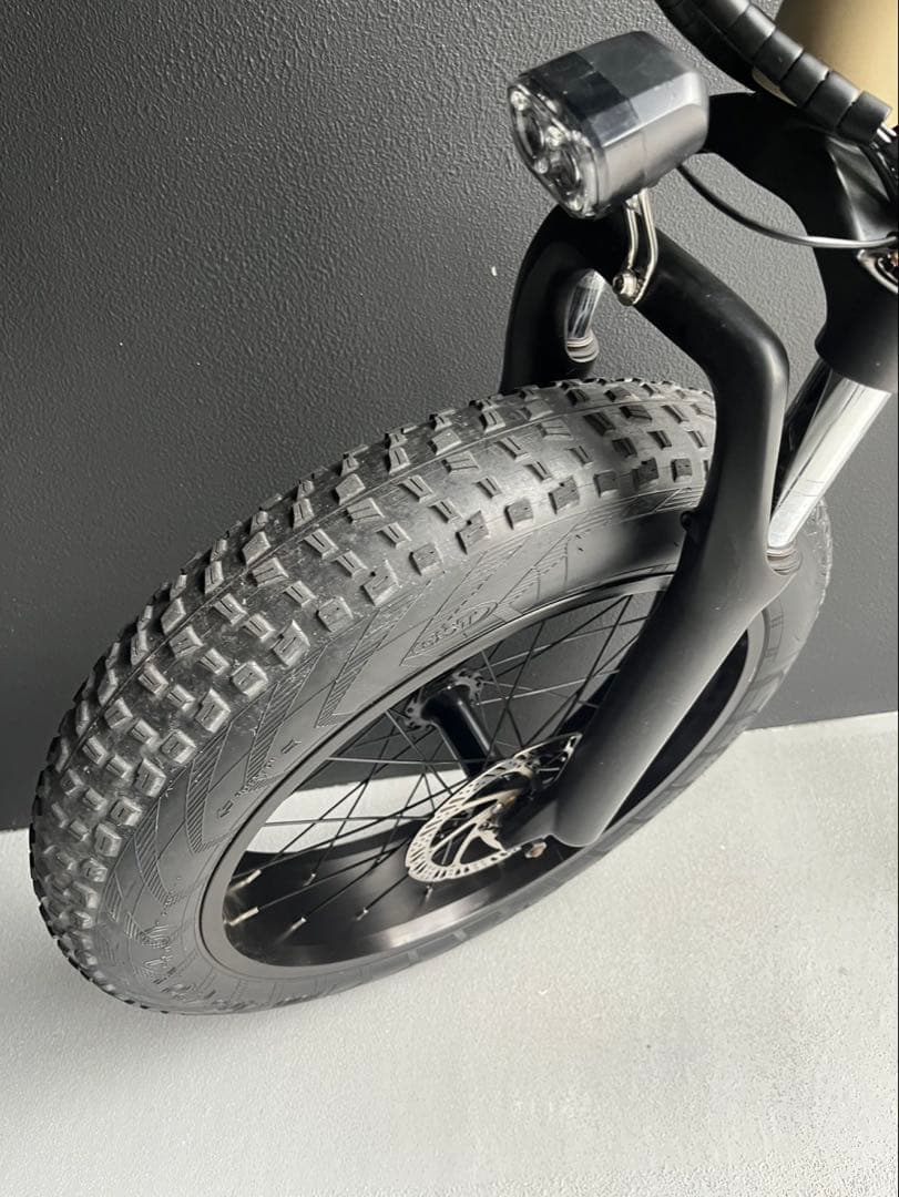 MATE X 美品車 egg rider