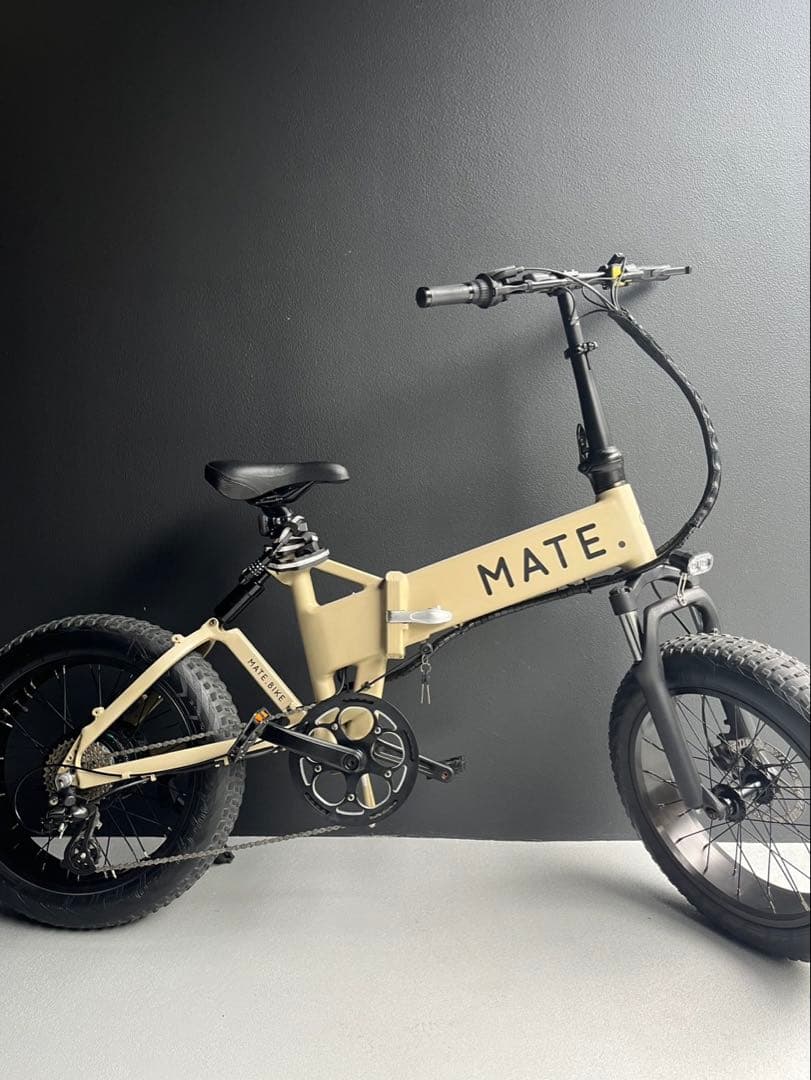 MATE X 美品車 egg rider