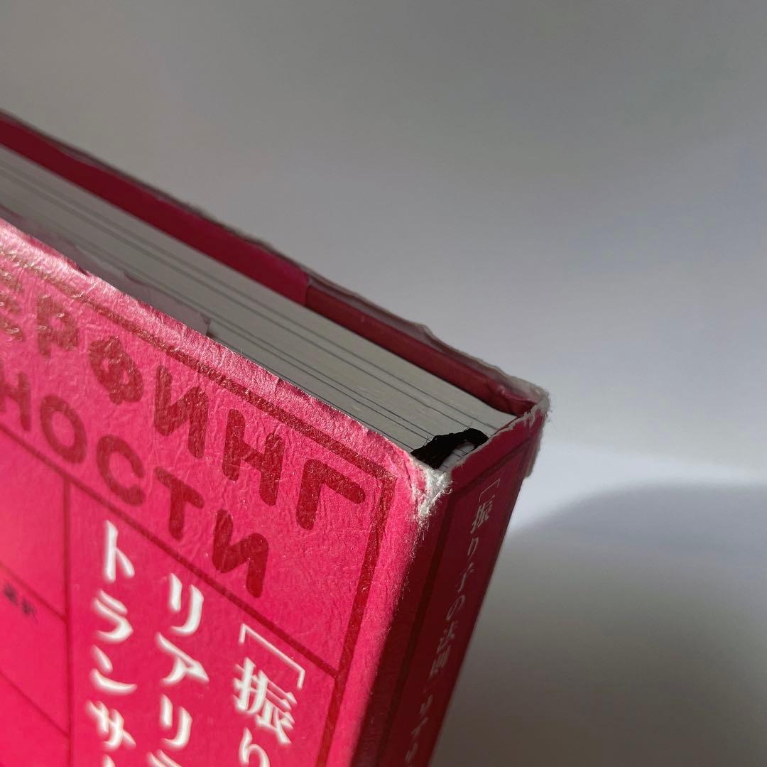 最終値下げ 「振り子の法則」リアリティ・トランサーフィン ヴァジム・ゼランド著