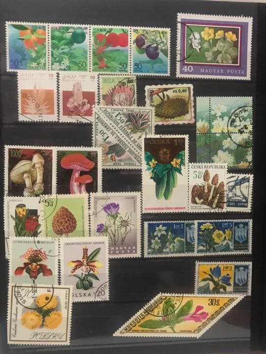世界の使用済切手アルバム①