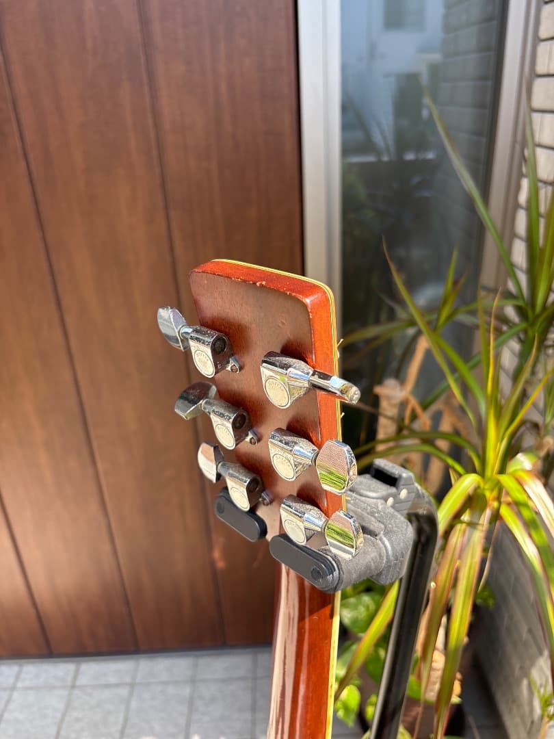 Morris W-60 トップ単板　サイド、パックはハカランダ