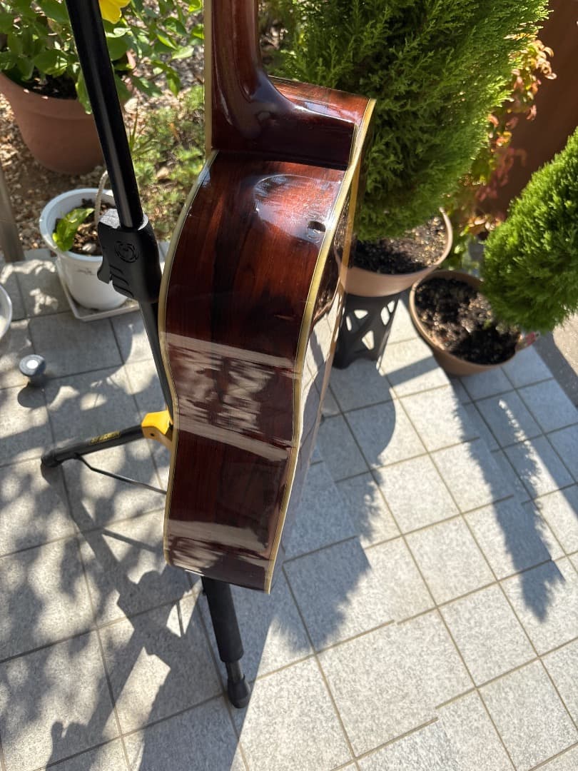 Morris W-60 トップ単板　サイド、パックはハカランダ