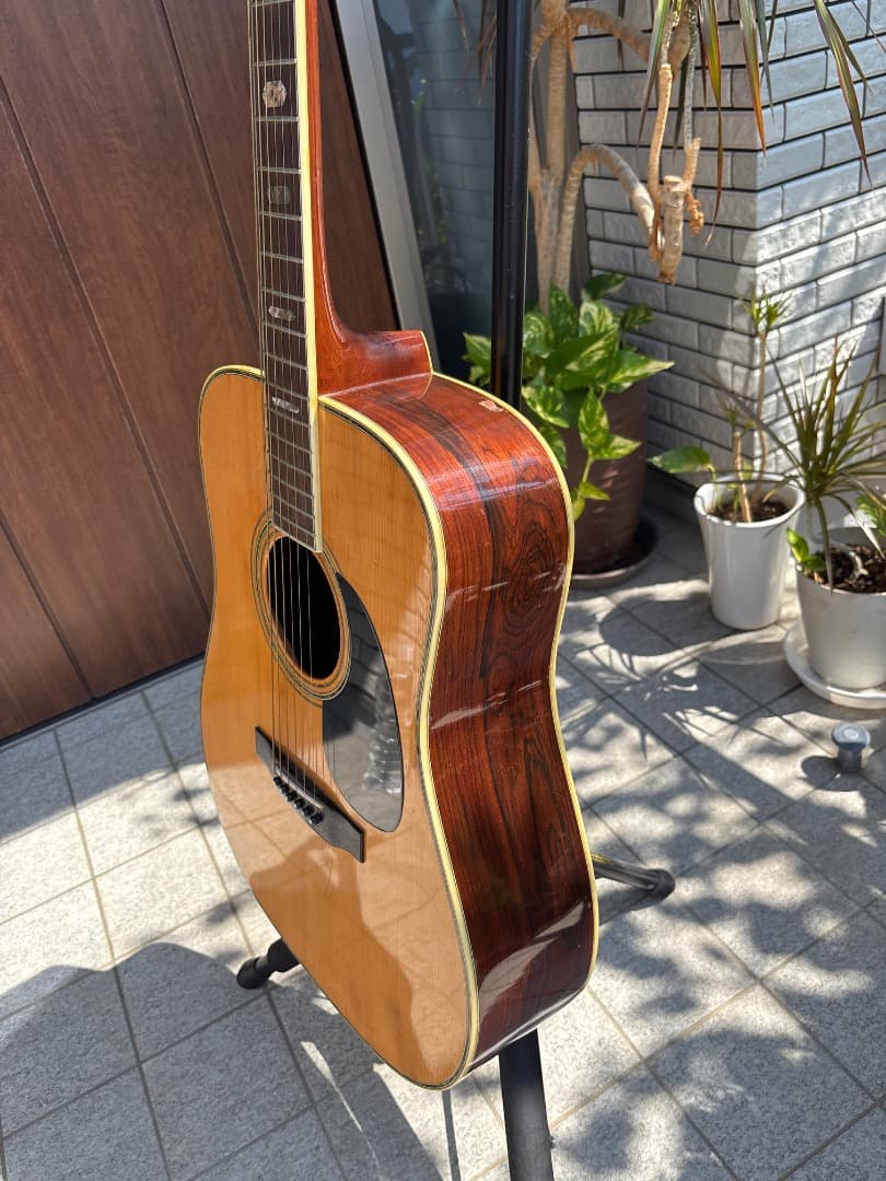 Morris W-60 トップ単板　サイド、パックはハカランダ