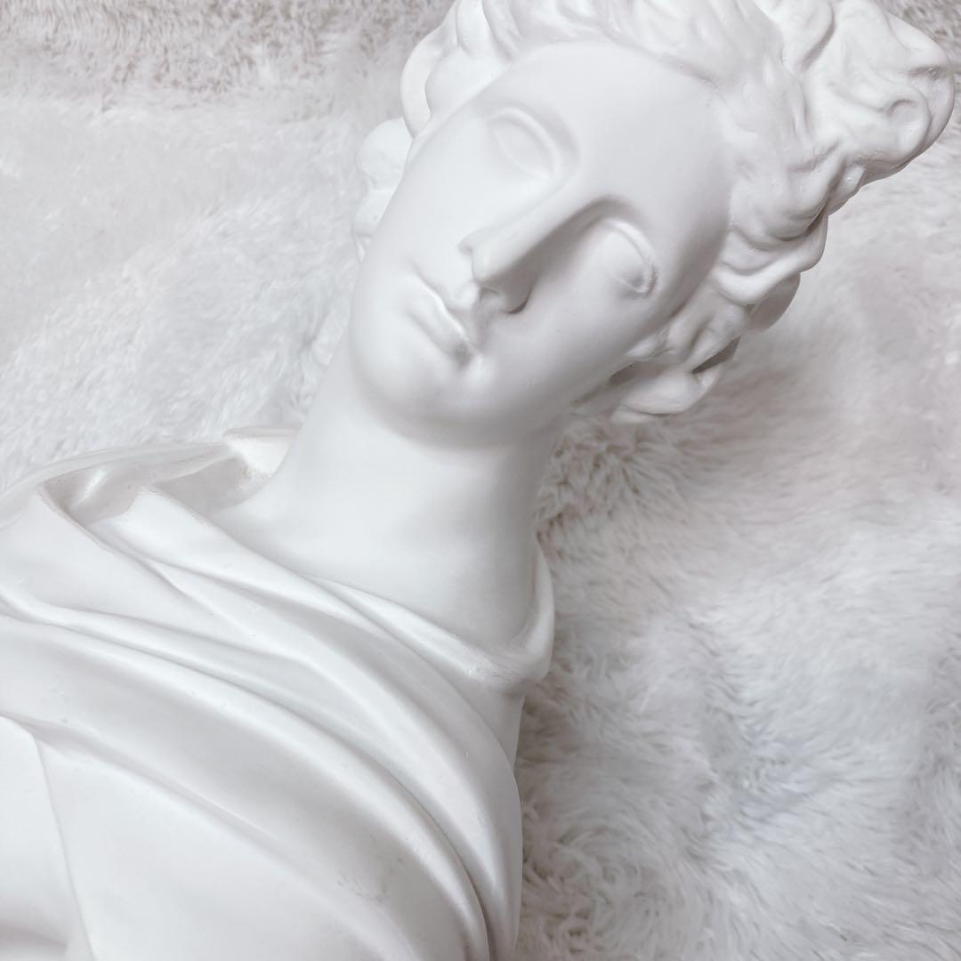 石膏像 アポロン ￼￼￼￼￼アポロ 胸像 デッサン 美術 彫刻 オブジェ