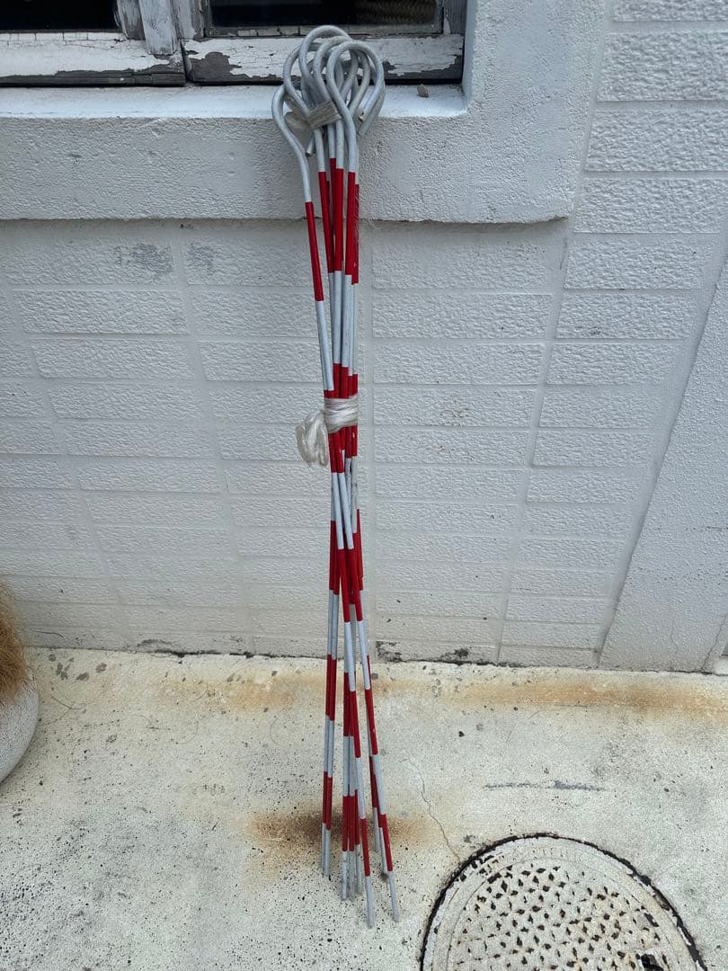 ピンポール　1mサイズ　10本セット