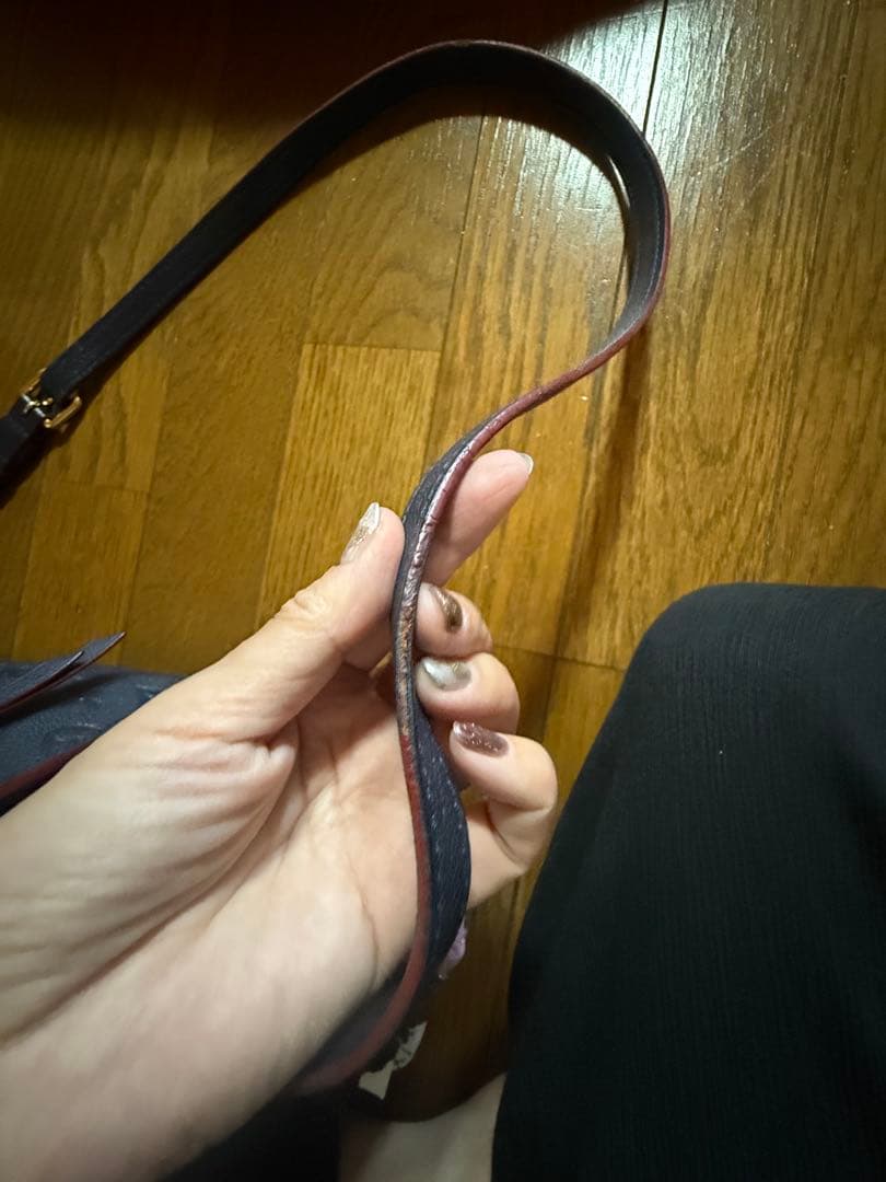 LOUIS VUITTON ショルダーバッグ　ルイヴィトン　メティス