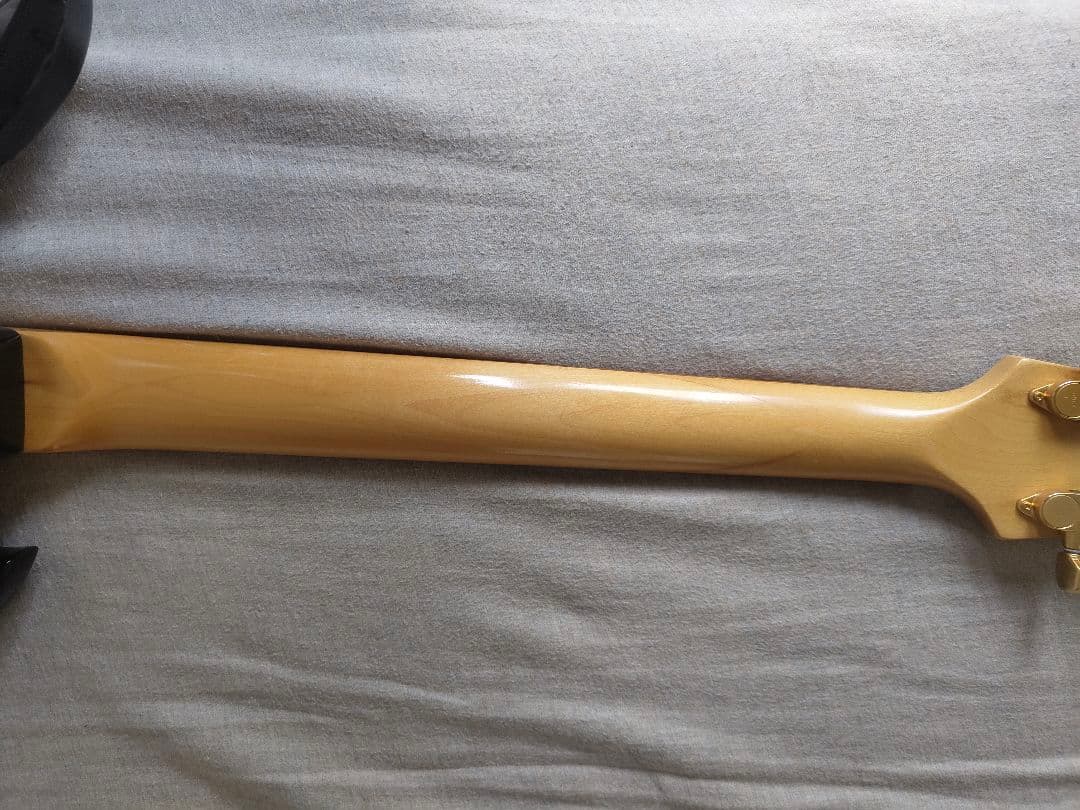 FERNANDES ターゲットMGT-48 モッキンバード ケース付き