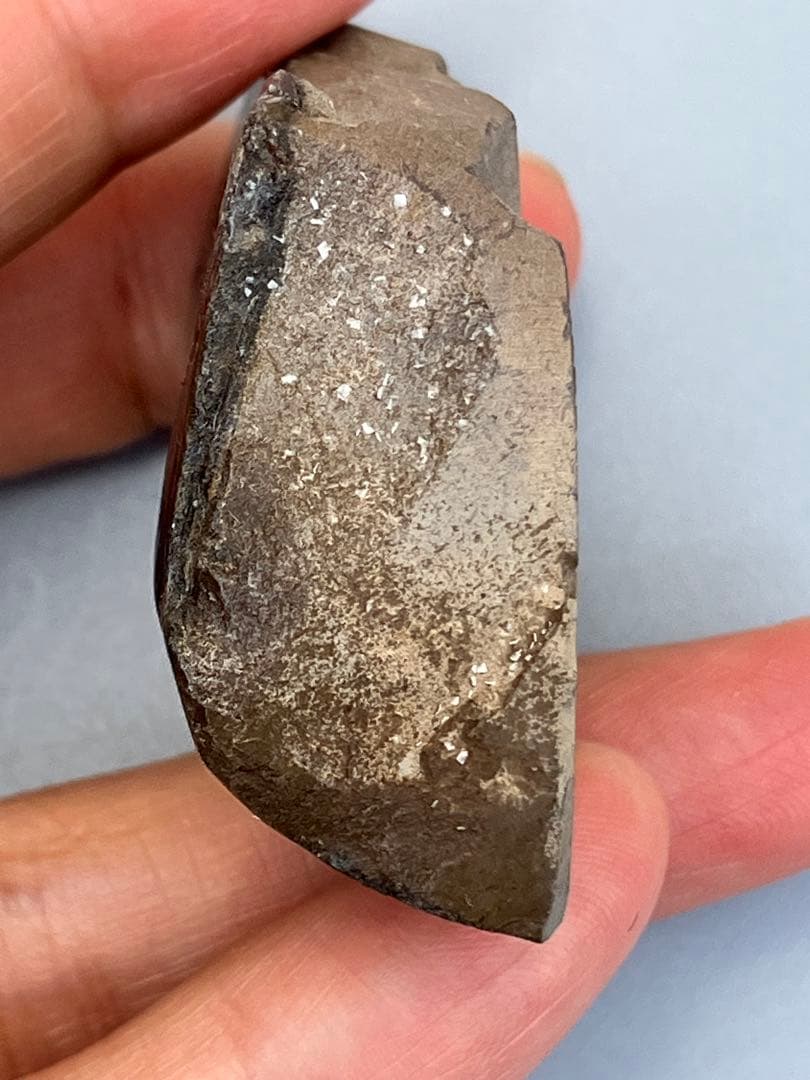 化石　原石　アンモライト　アンモナイト　カナダ産　幅4.1cm 置物　箱付き