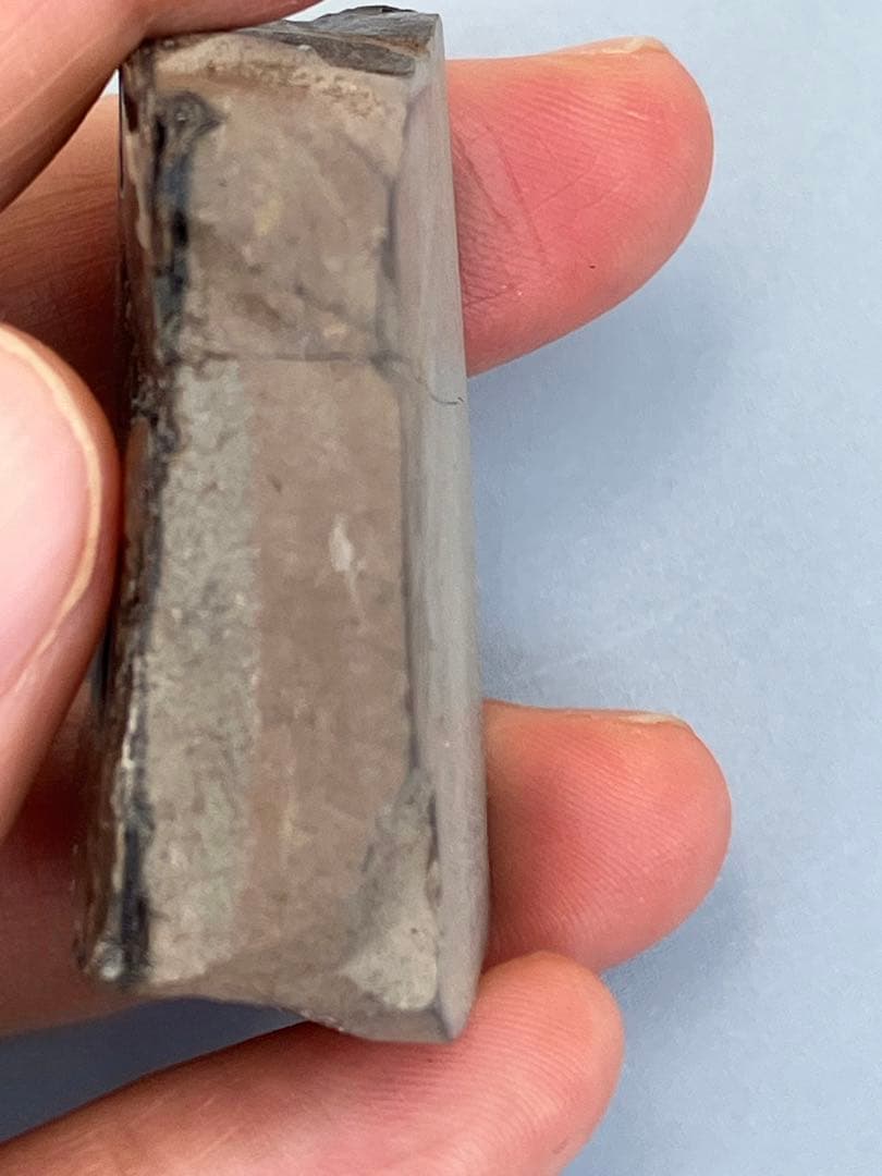 化石　原石　アンモライト　アンモナイト　カナダ産　幅4.1cm 置物　箱付き