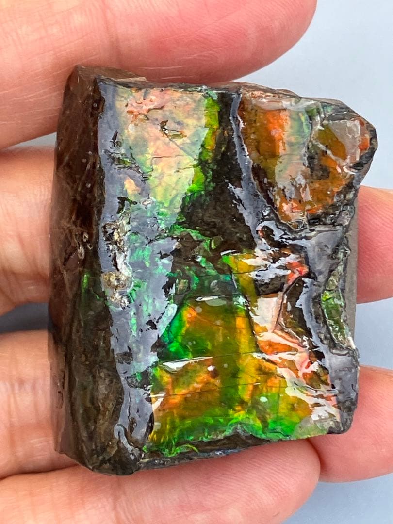 化石　原石　アンモライト　アンモナイト　カナダ産　幅4.1cm 置物　箱付き