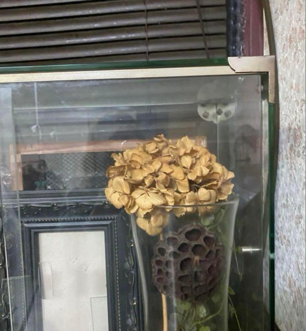 ガラス棚　アンティークガラスケース