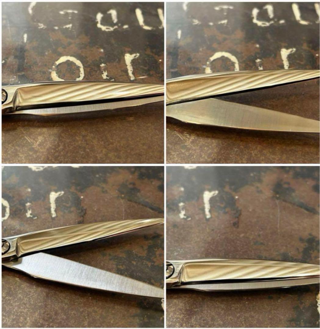 トラッスクシーザー