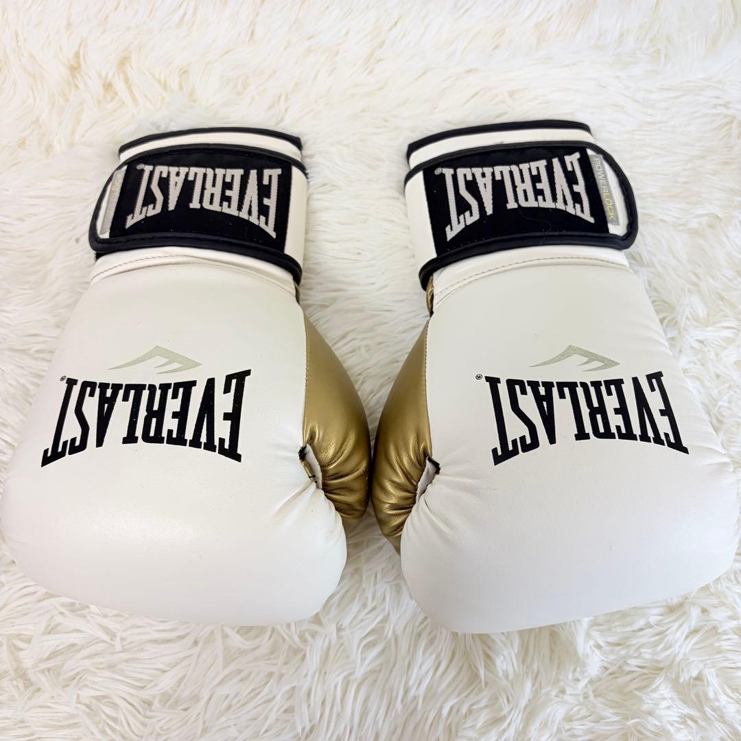 ボクシング EverlastPowerlock Boxing Gloves