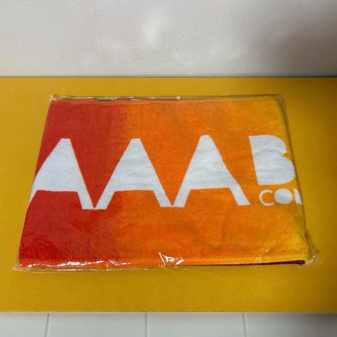 AAAグッズ 17点まとめ売り 「パンフ、ファイル、タオル、Tシャツ、他」