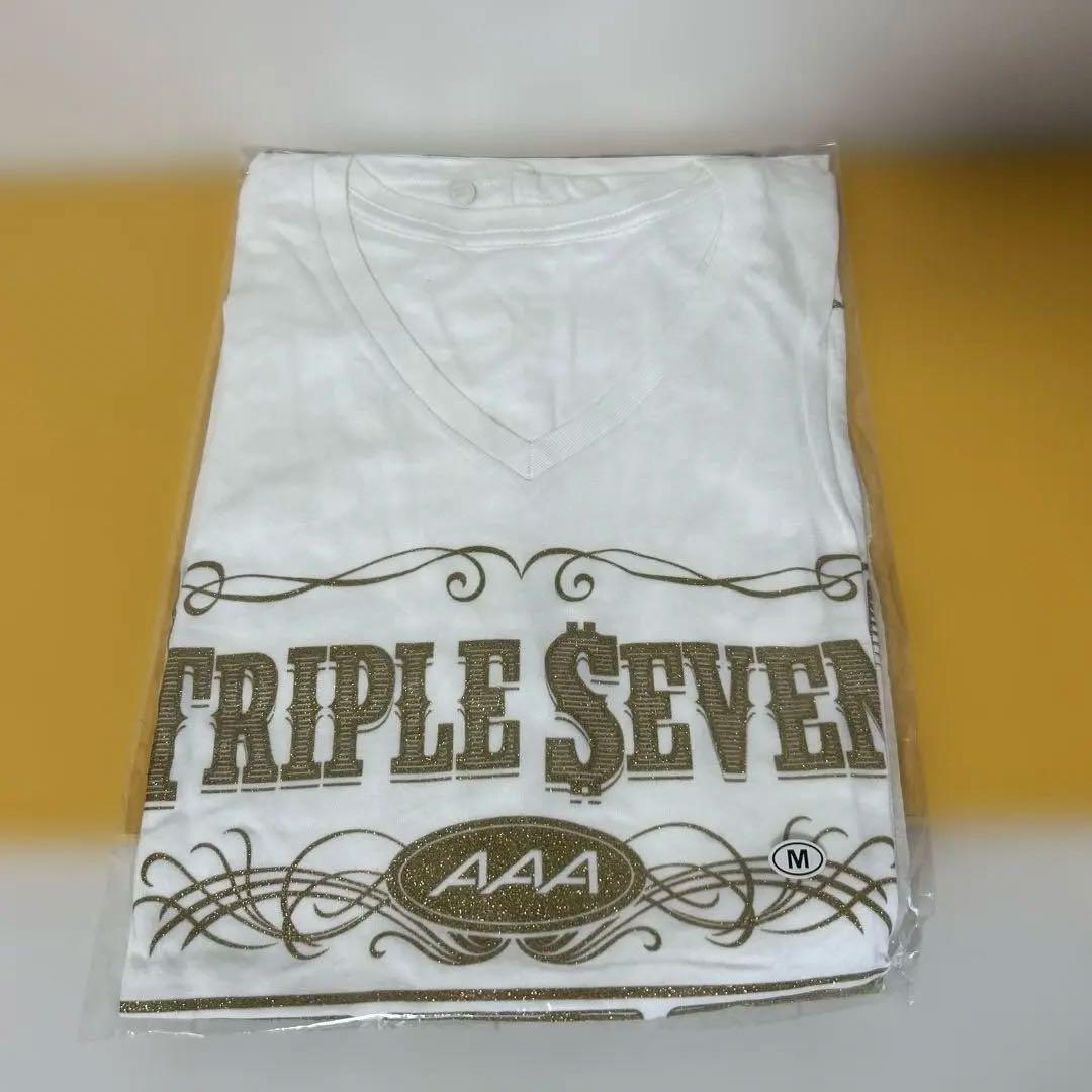 AAAグッズ 17点まとめ売り 「パンフ、ファイル、タオル、Tシャツ、他」