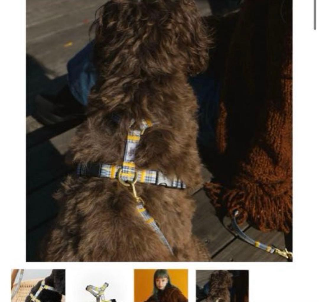 ciiron Tokyo ハーネスとリードのセット　グレンチェック