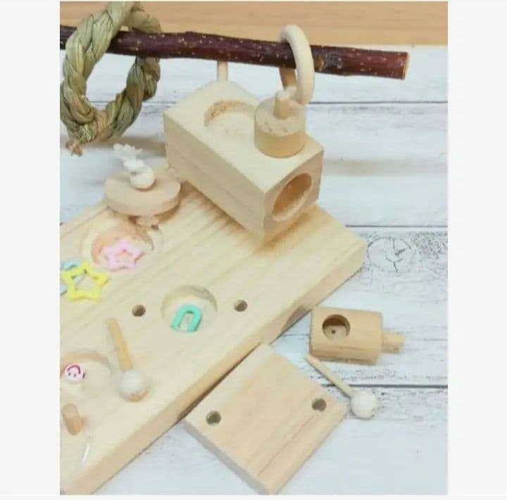 u71　⭐　フォージングトイセット⭐　輪投げ　バードトイ　文鳥　インコ