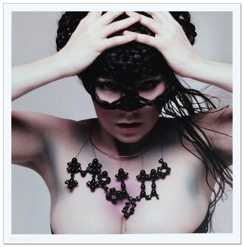 特別額装品/Bjork（ビョーク）/Medulla 2004年