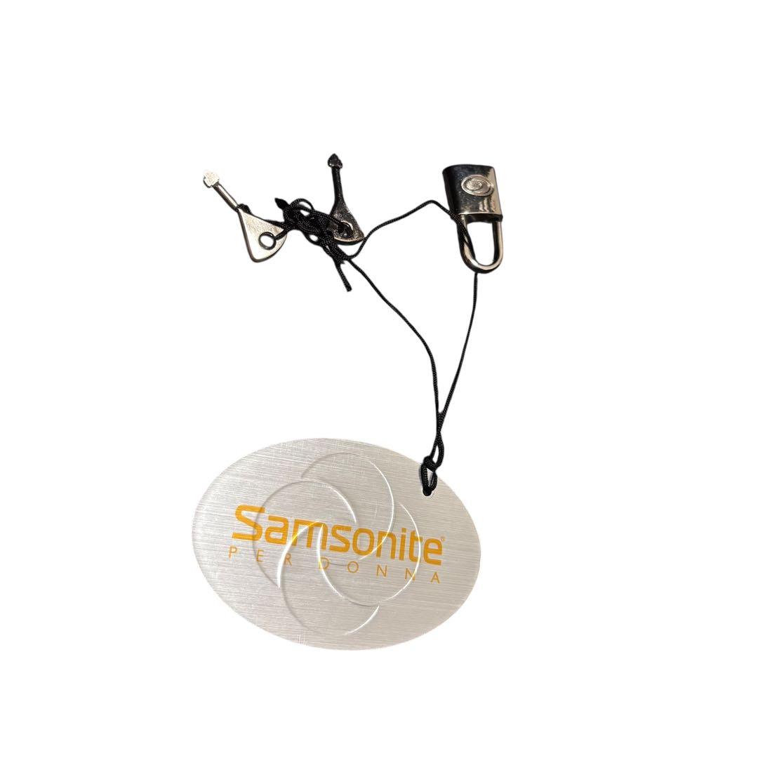 Samsonite サムソナイト キャリーバッグ 鍵付き 旅行 出張