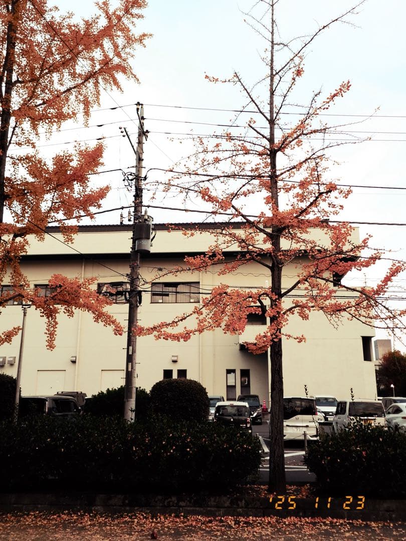 Fujifilm X-HALF 本体とSmallRigアクセサリー