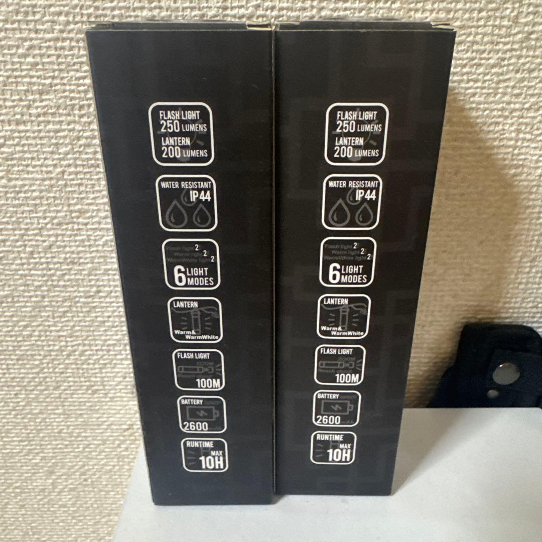 布袋寅泰　LIVE IN BUDOKAN　ミニマライト　2本セット