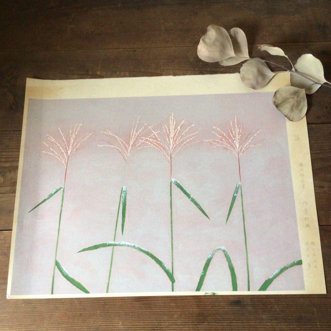 No1281 木版画  「薄」 徳岡神泉筆　円青社版　日本画　美術品　送料無料