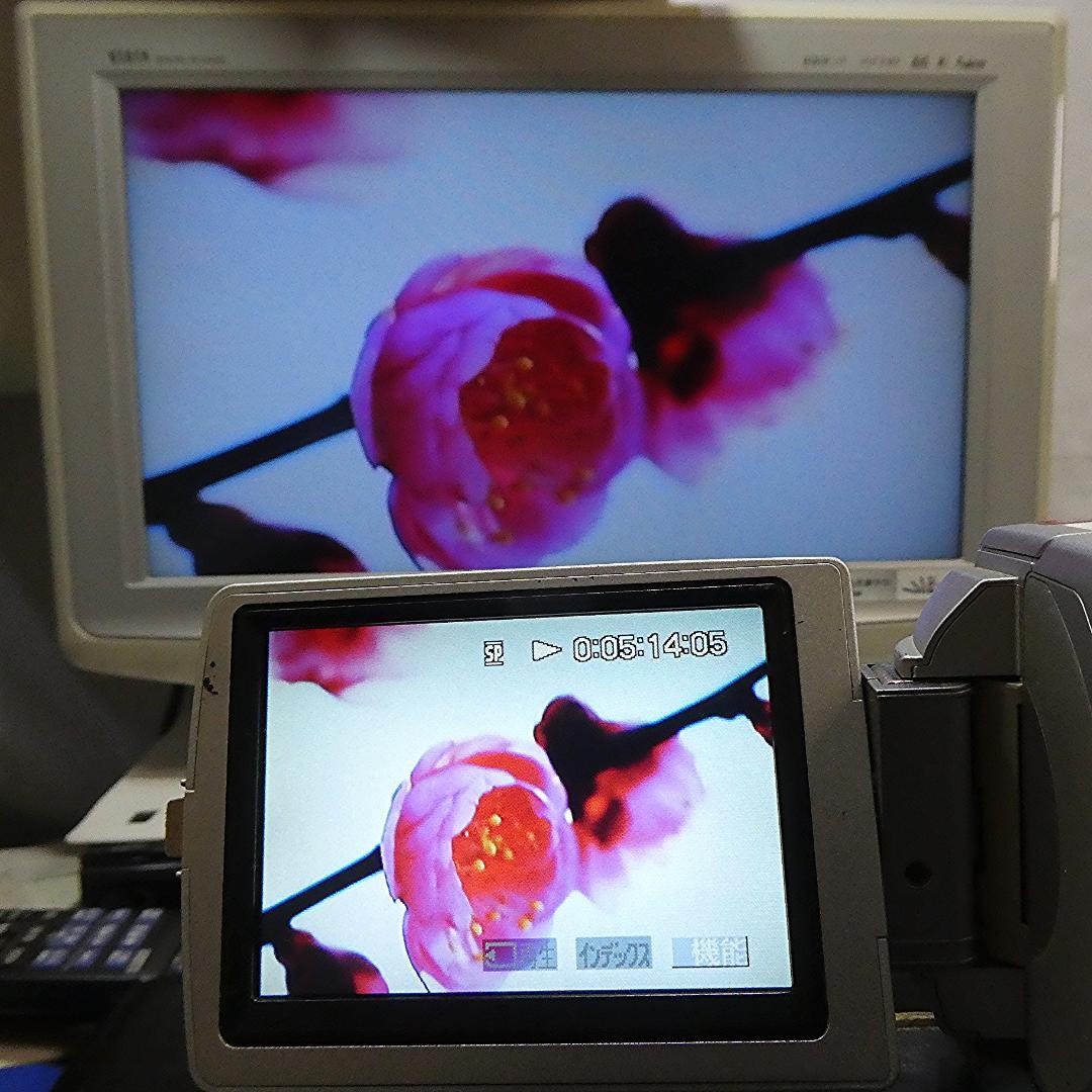 動作品ソニー DCR-TRV50 Mini DVビデオカメラDVDダビングに最適