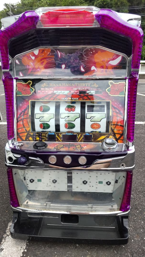 ドリームハナハナ