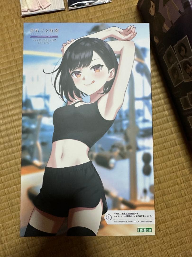 セール中　美少女プラモデルまとめ売り