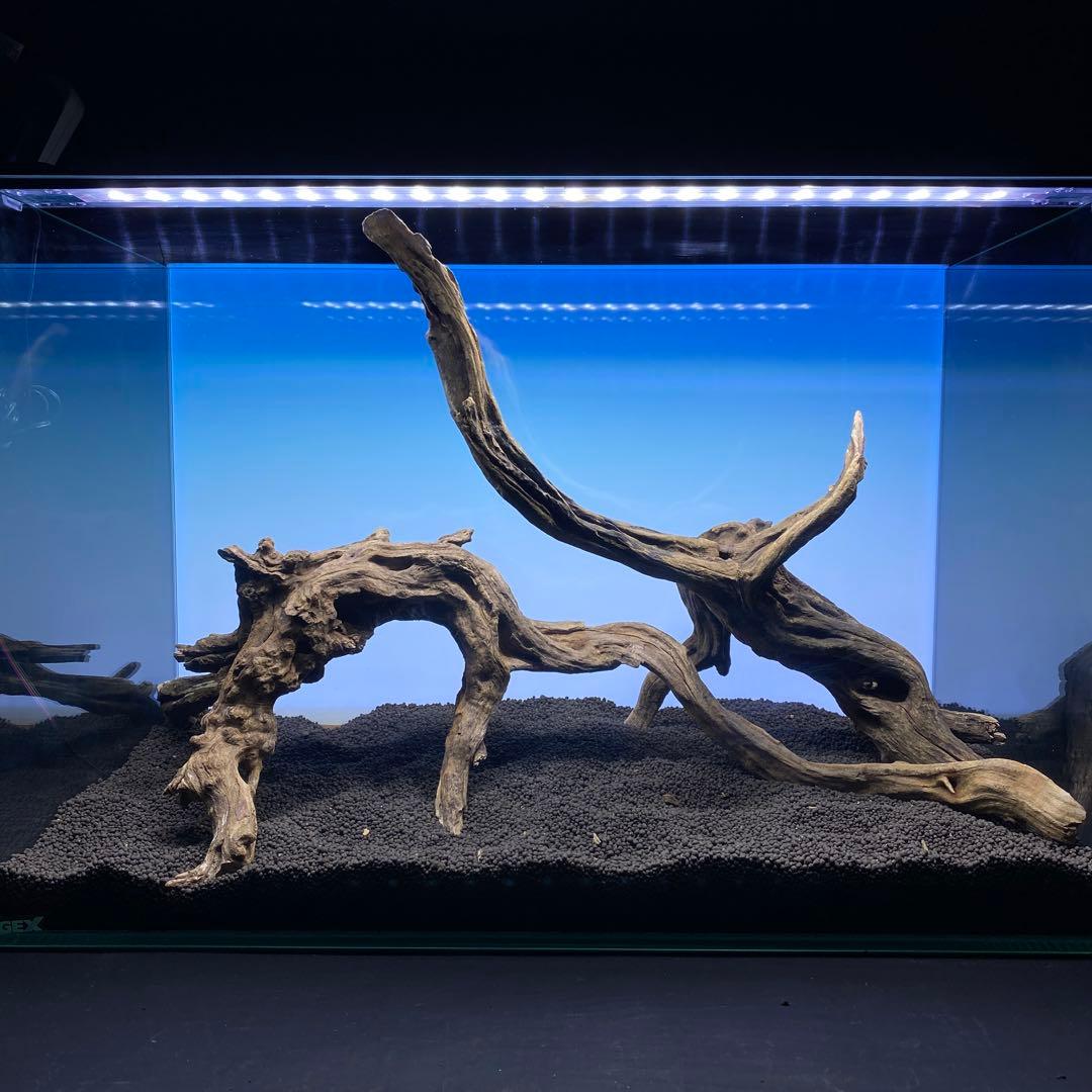 MSRW-6510 スリムウッド2本セット　60cm水槽用流木　アクアリウム