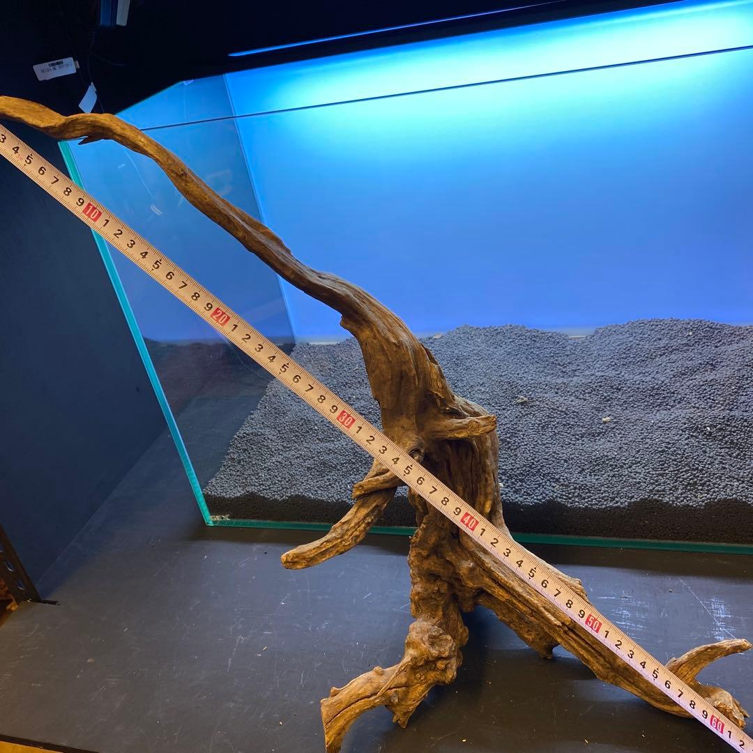 MSRW-6510 スリムウッド2本セット　60cm水槽用流木　アクアリウム