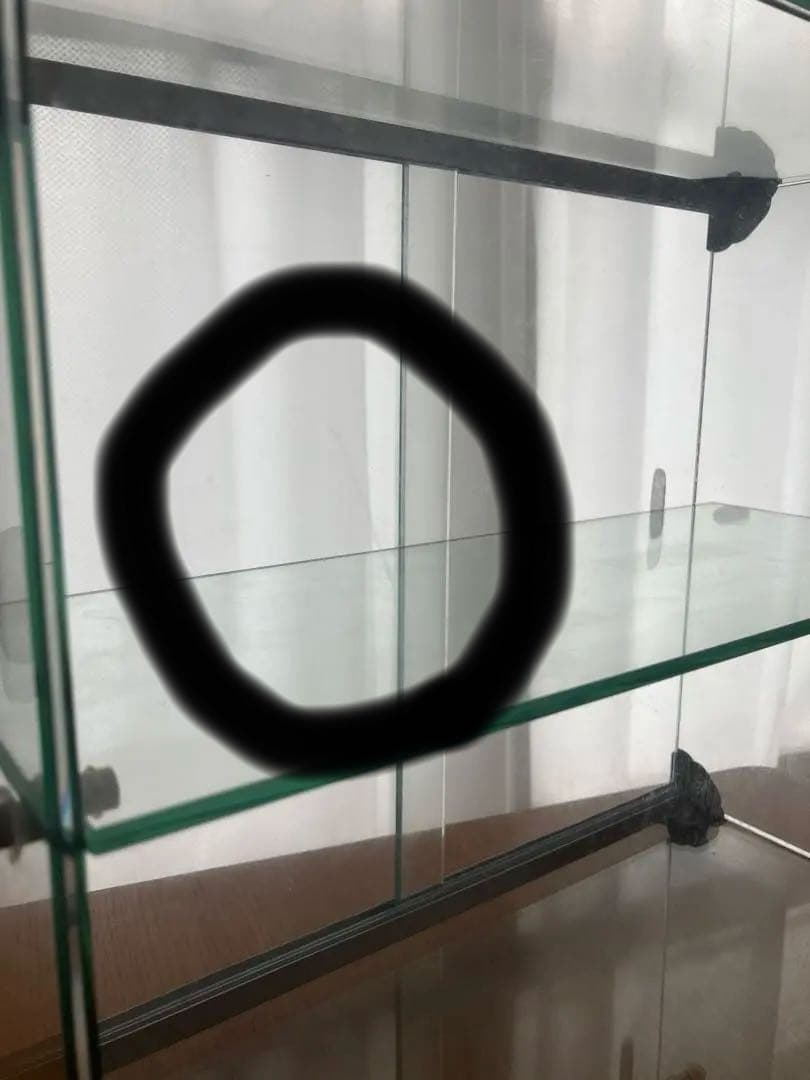 ガラスケース　コレクションケース　ビンテージ　昭和レトロ　什器