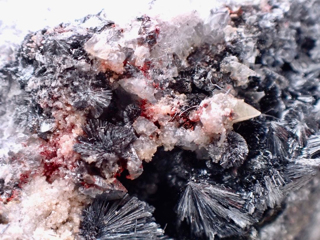 紅安鉱、自然アンチモン他　カナダ