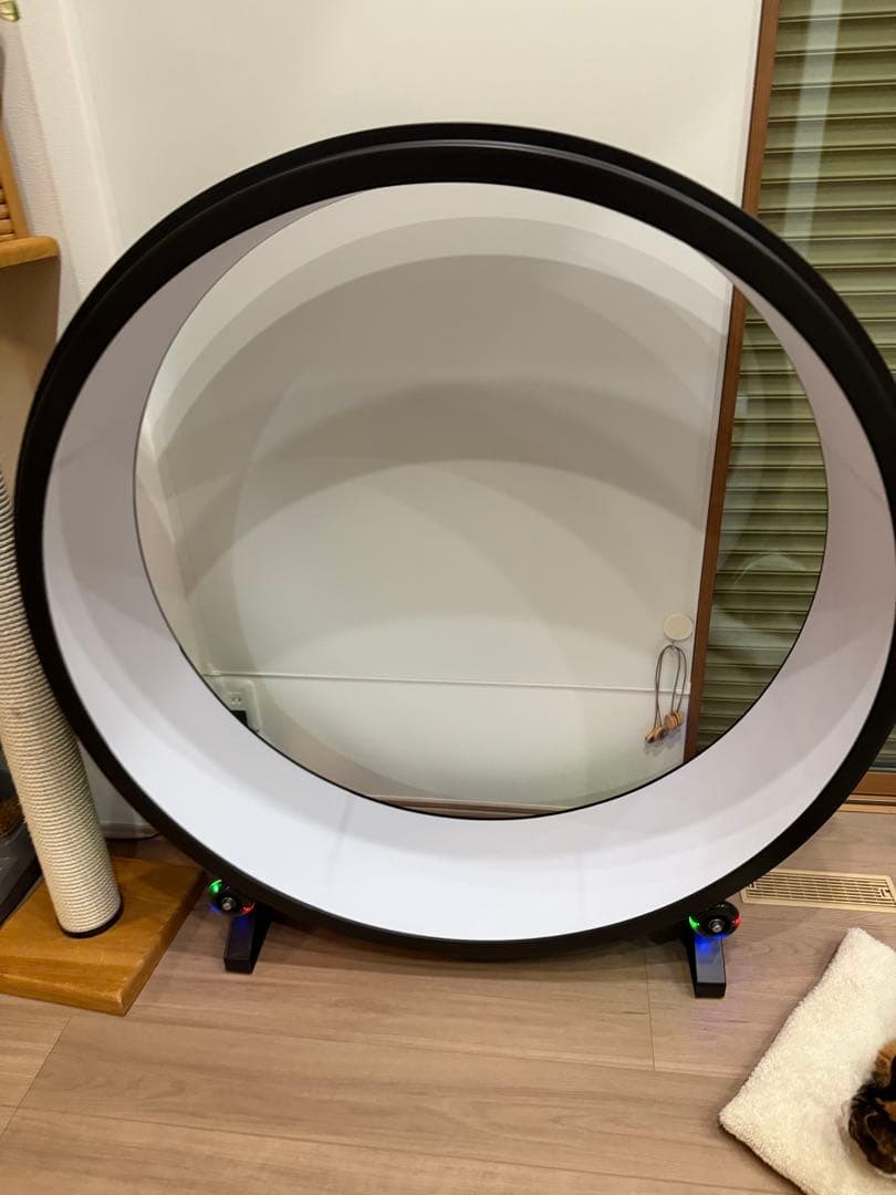 米国商品　One fast cat ネコ用エクササイズホイール　猫用運動器具