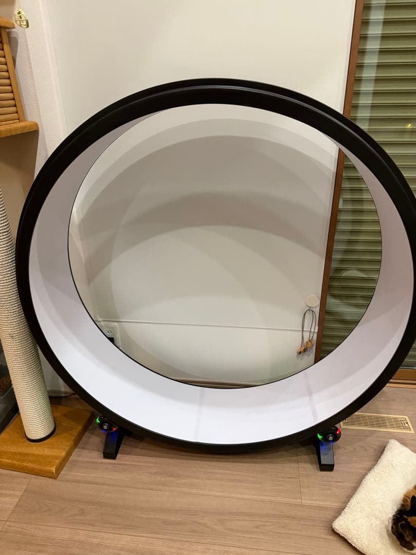 米国商品　One fast cat ネコ用エクササイズホイール　猫用運動器具