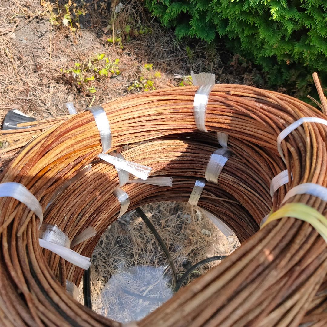 hkeplk　青森県岩木山採取　あけび蔓　70cm～150cm　5kg