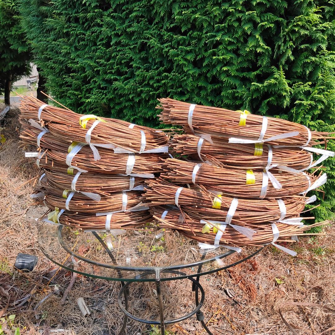 hkeplk　青森県岩木山採取　あけび蔓　70cm～150cm　5kg