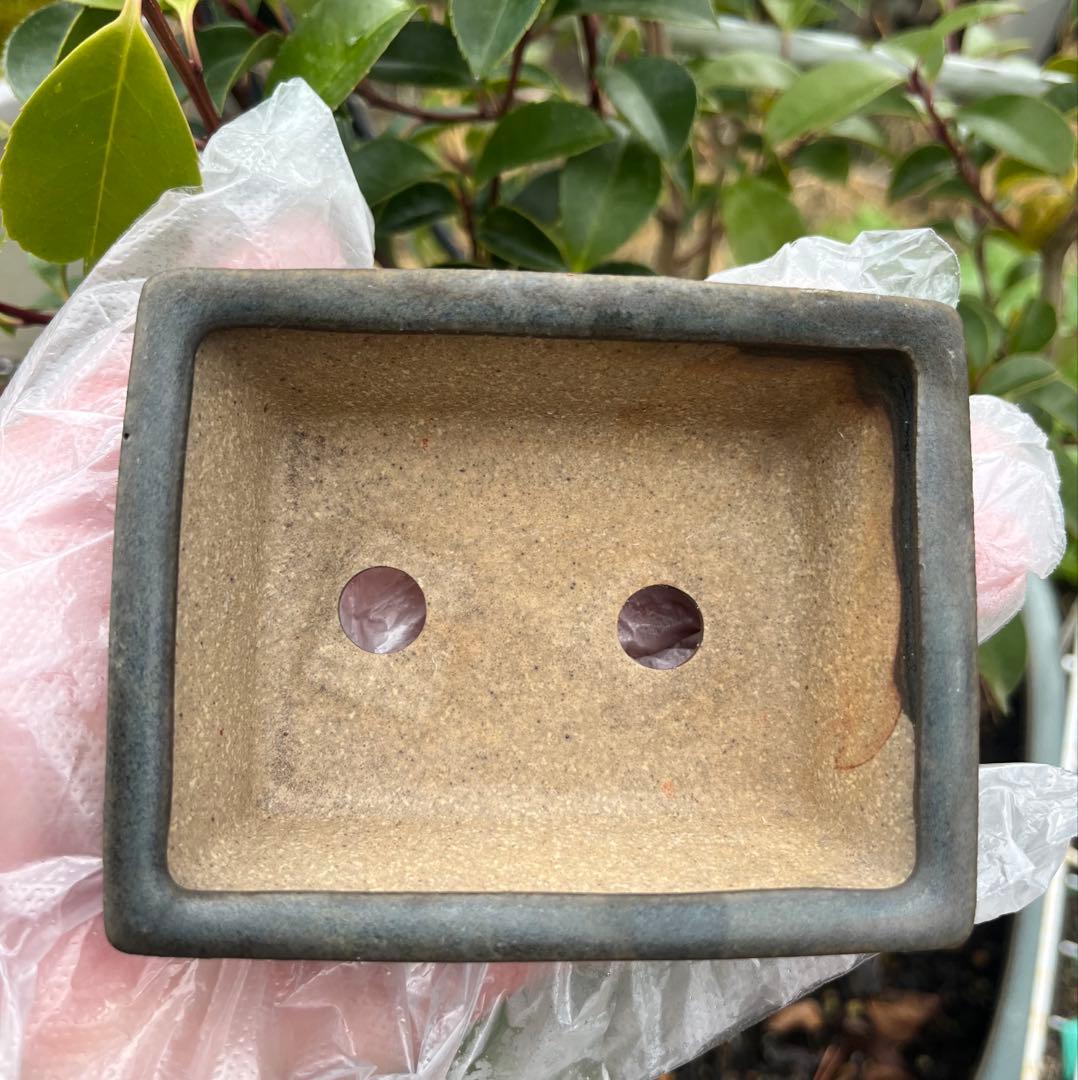 小品盆栽鉢　盆栽鉢　佑泉