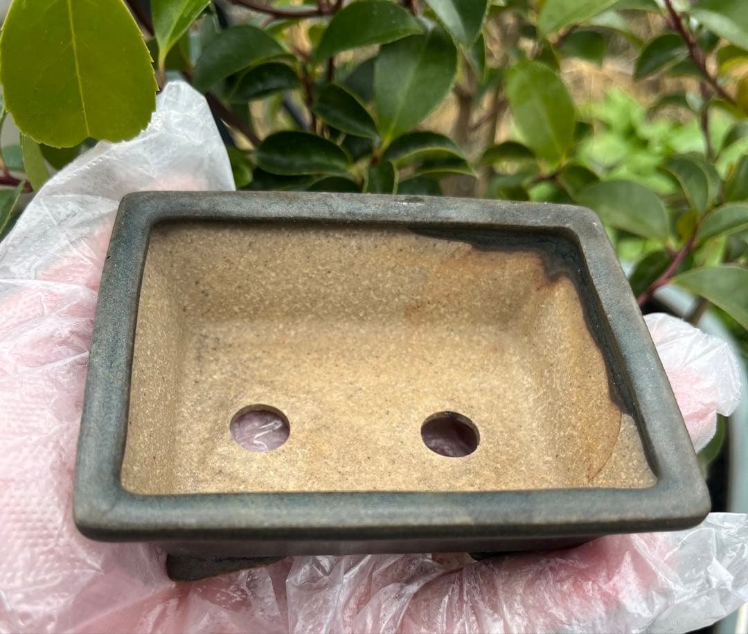 小品盆栽鉢　盆栽鉢　佑泉