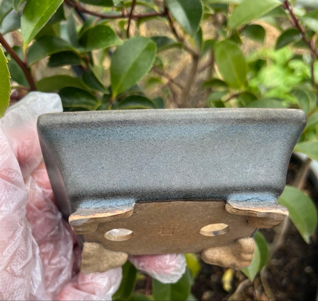 小品盆栽鉢　盆栽鉢　佑泉