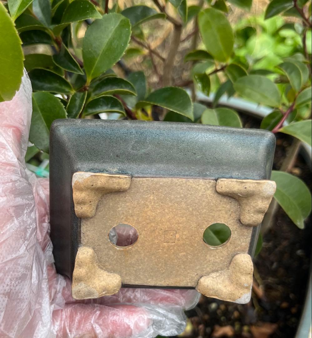 小品盆栽鉢　盆栽鉢　佑泉