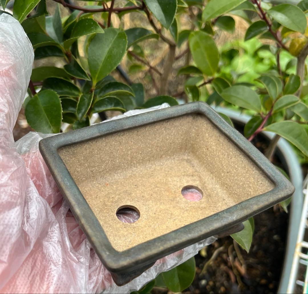 小品盆栽鉢　盆栽鉢　佑泉