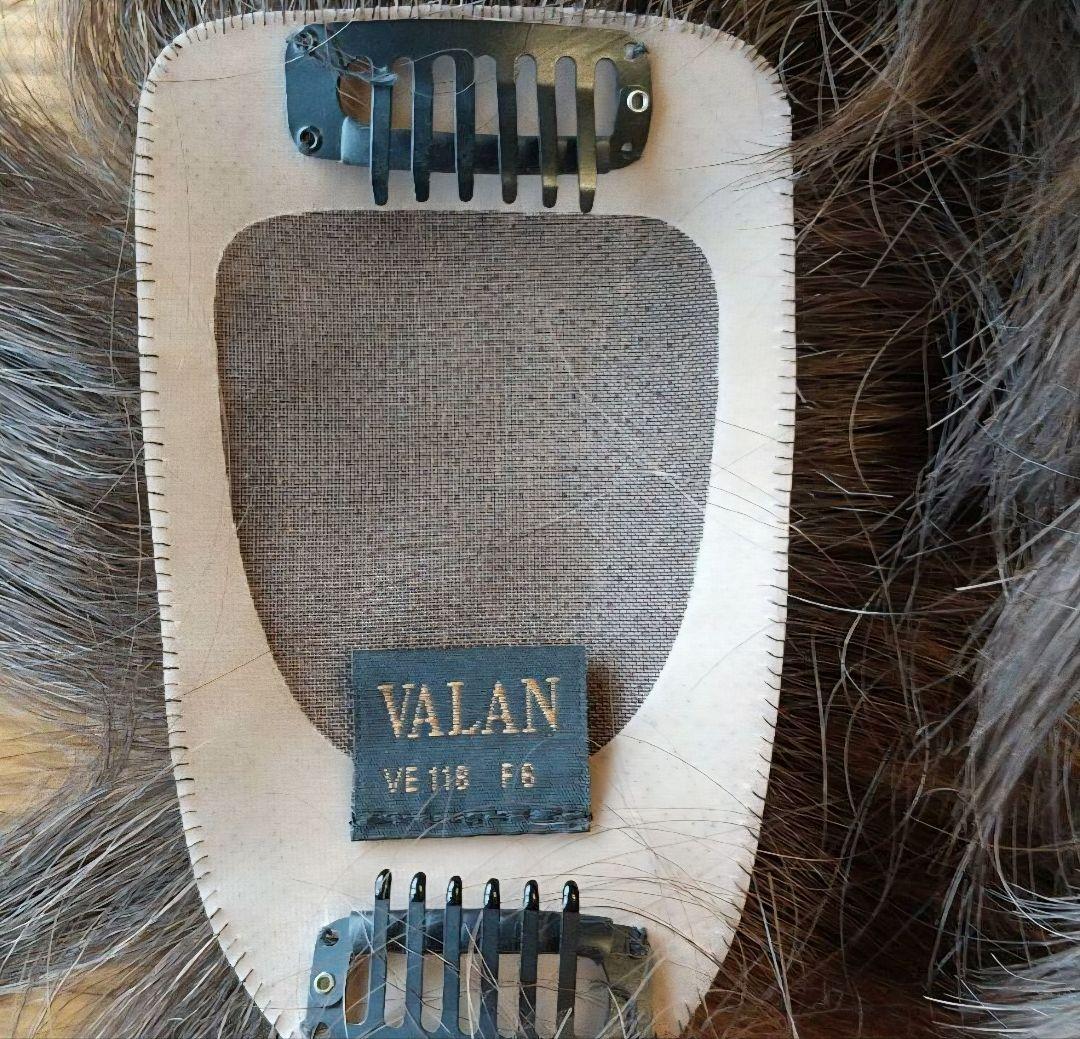 ウィッグ・エクステ VALAN VE118 F6