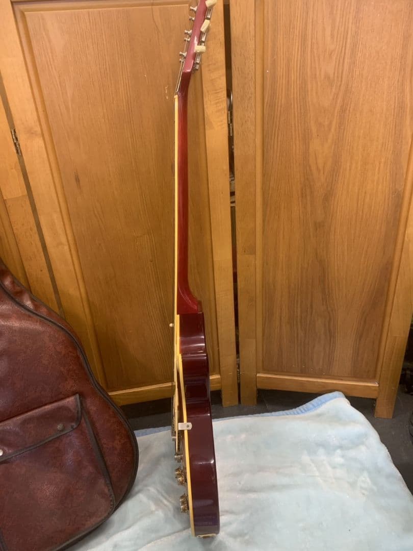 Aria Pro II Leopard エレキギター サンバースト