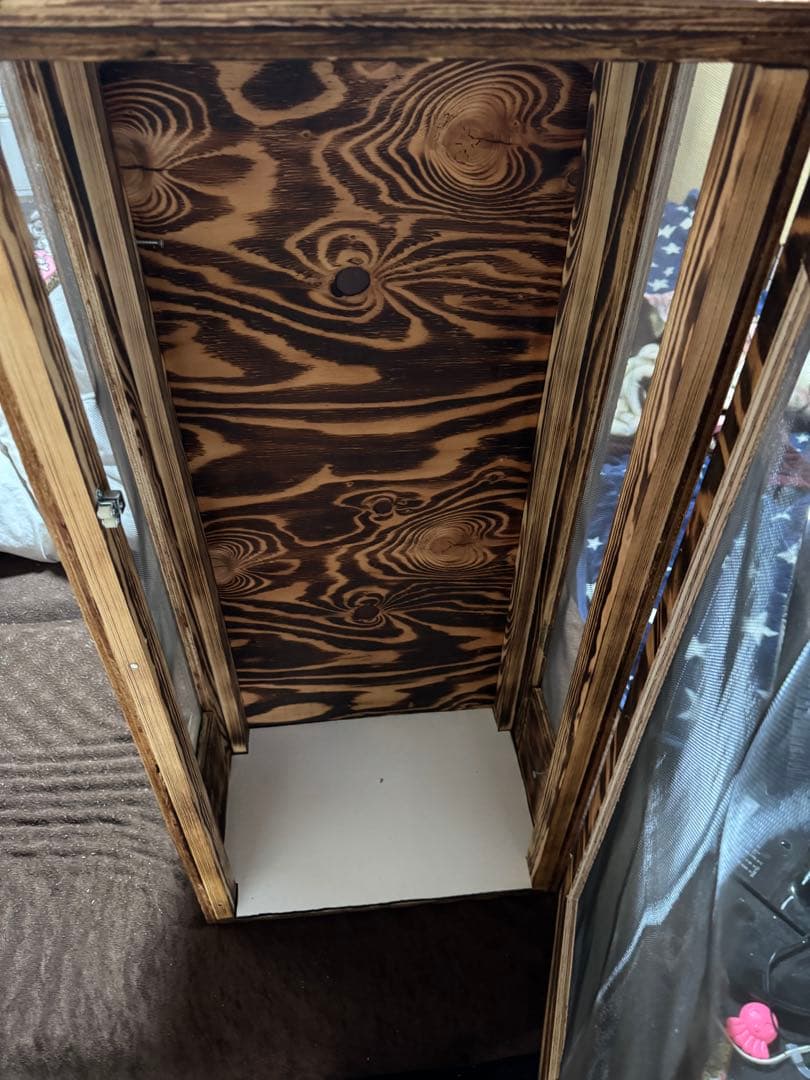 カメレオンケージ